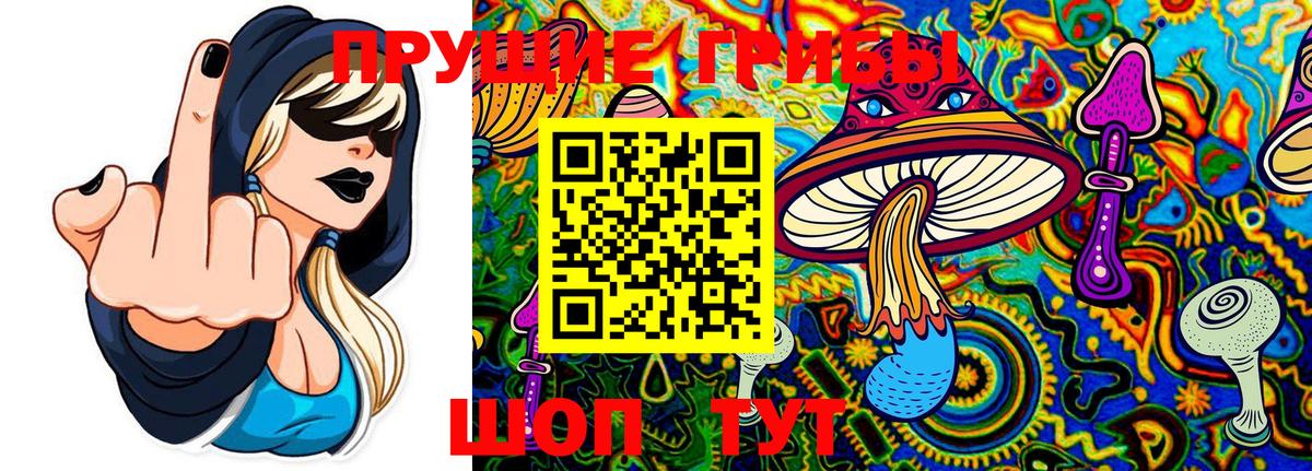 Галлюциногенные грибы ЛСД Великие Луки